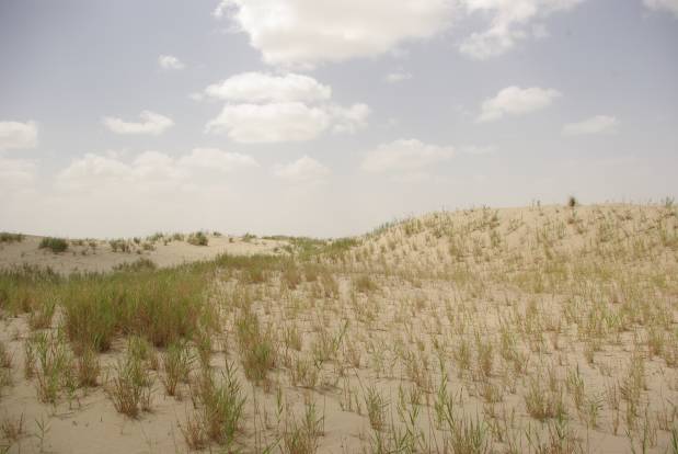 Taklimakan Desert pictures
